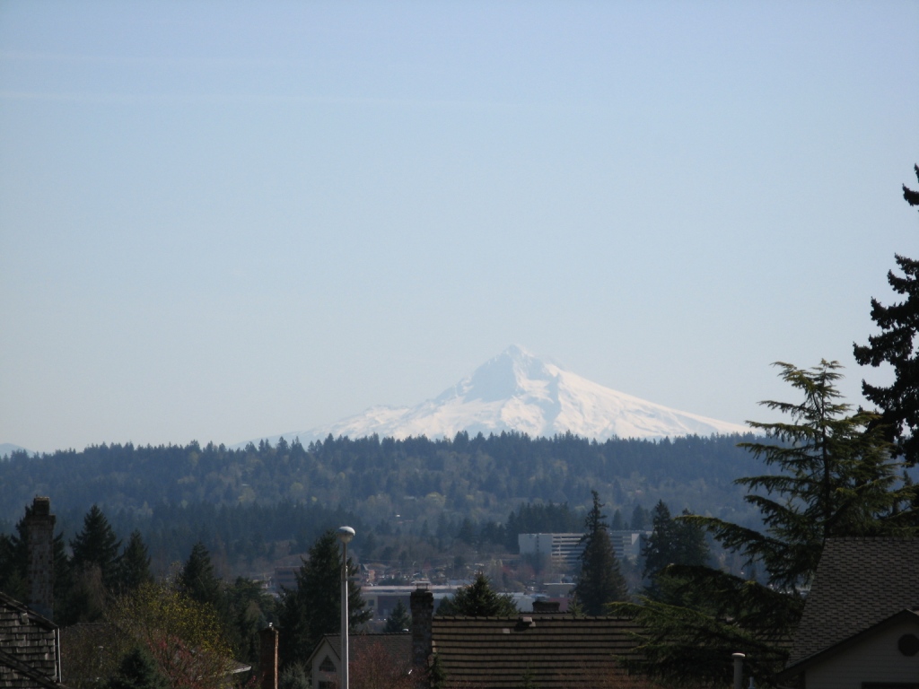 view from new house