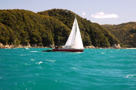 sailboat in Abel Tasman