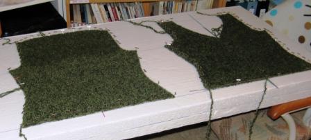 blocking lion cardi