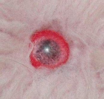 eye closeup