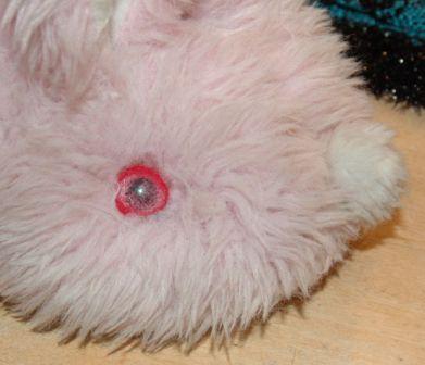 original eye