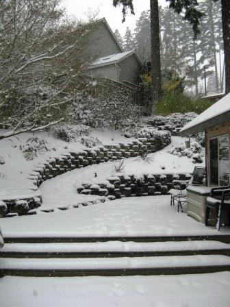 yard in snow