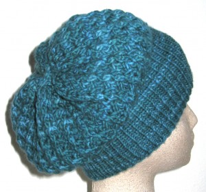 'Shroom" hat in Malabrigo
